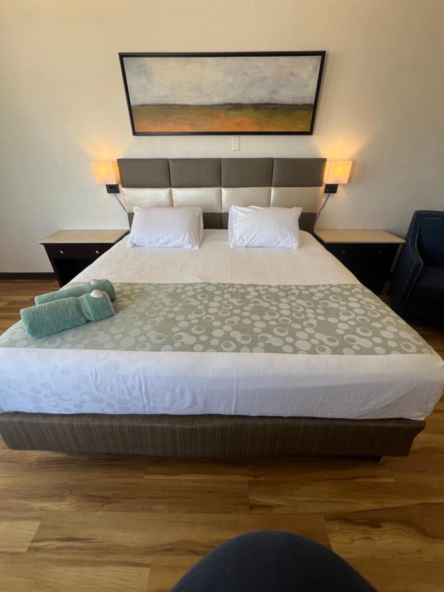 Flamingo Inn Beachfront - เดย์โทนาบีช ภายนอก รูปภาพ