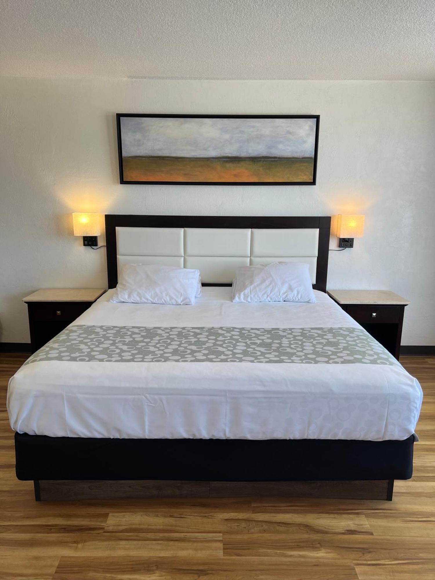 Flamingo Inn Beachfront - เดย์โทนาบีช ภายนอก รูปภาพ