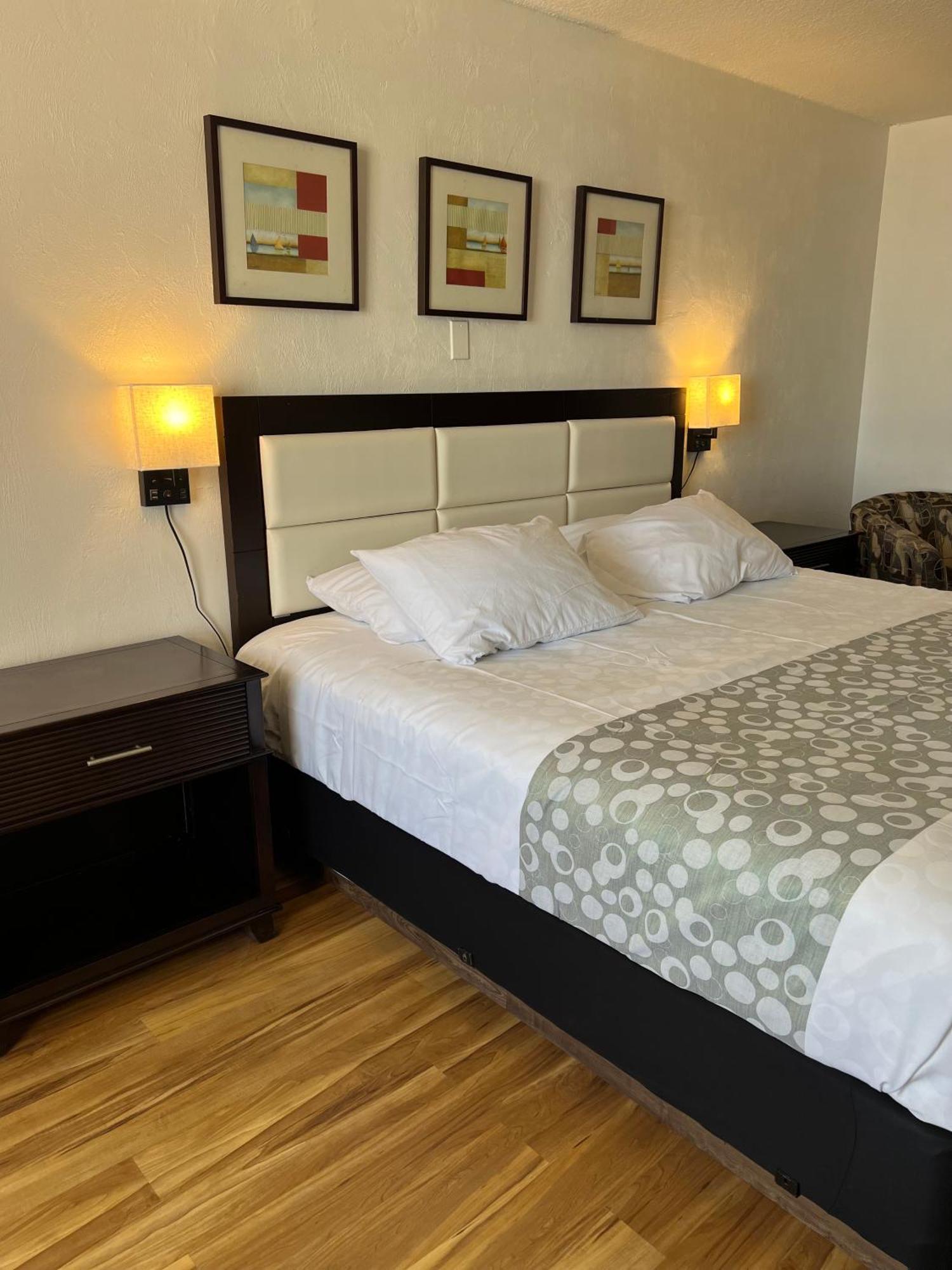Flamingo Inn Beachfront - เดย์โทนาบีช ภายนอก รูปภาพ