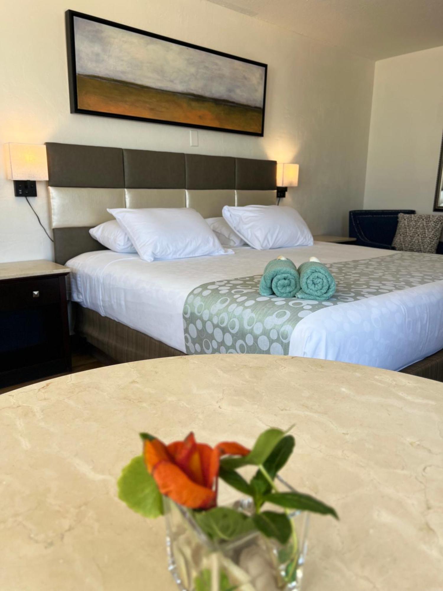 Flamingo Inn Beachfront - เดย์โทนาบีช ภายนอก รูปภาพ