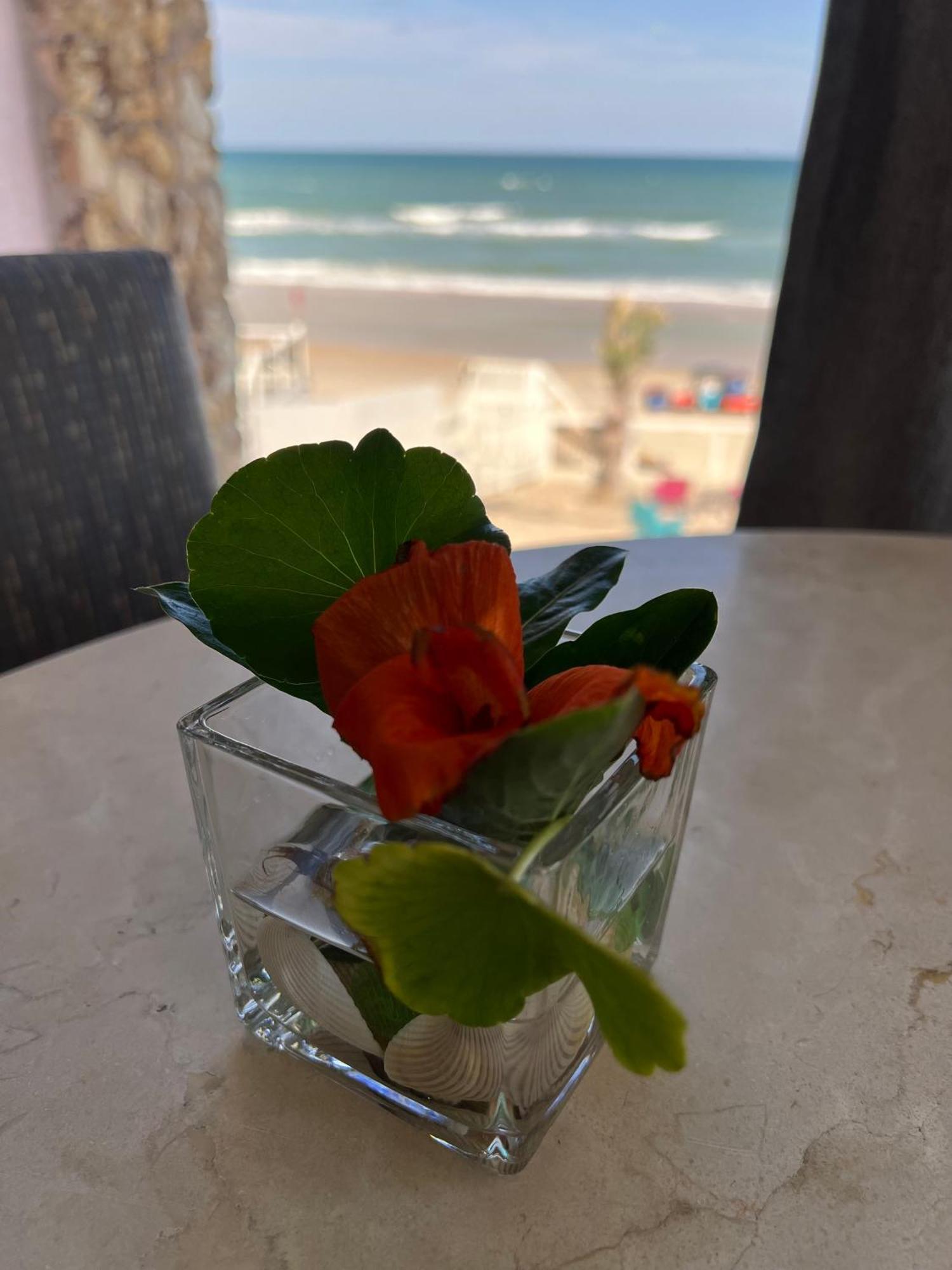 Flamingo Inn Beachfront - เดย์โทนาบีช ภายนอก รูปภาพ