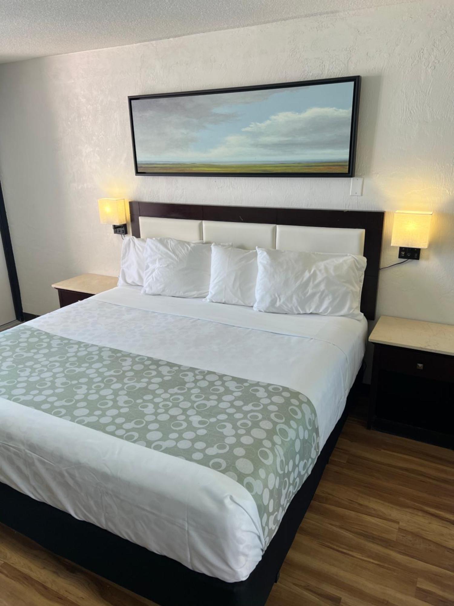 Flamingo Inn Beachfront - เดย์โทนาบีช ภายนอก รูปภาพ